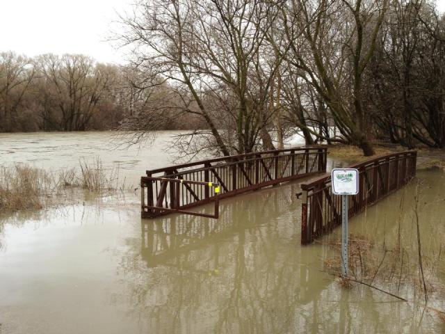Grand River floods (photo by Ted Spieker)