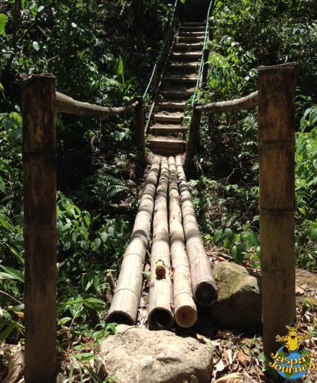 Bamboo bridge at the end of the tended path