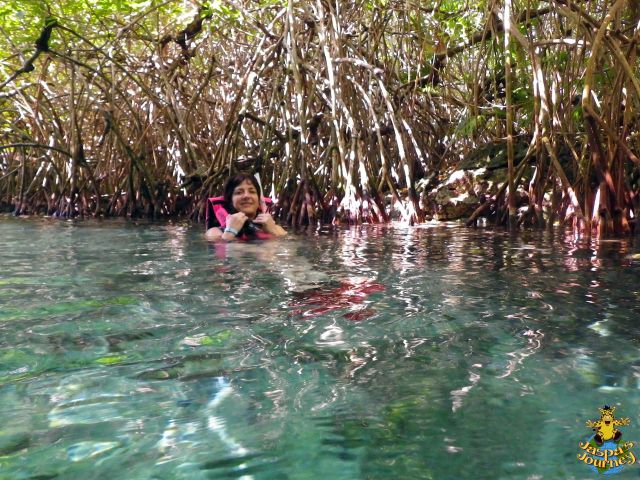 Sue among the mangroves