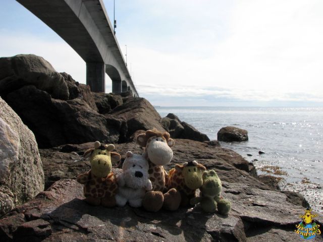 With some friends at Confederation Bridge